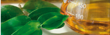 Ecofuel Enerplus