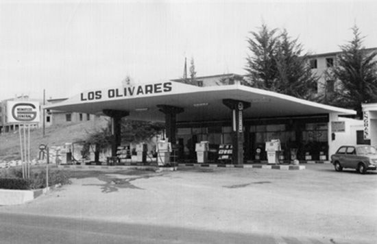 Grupo Enerplus: Los Olivares