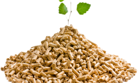 Biomasa pellets